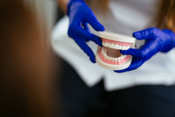 Best Dental Exams and Cleanings  in Crystal Lawns, IL